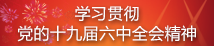 学习贯彻党的十九届六中全会精神